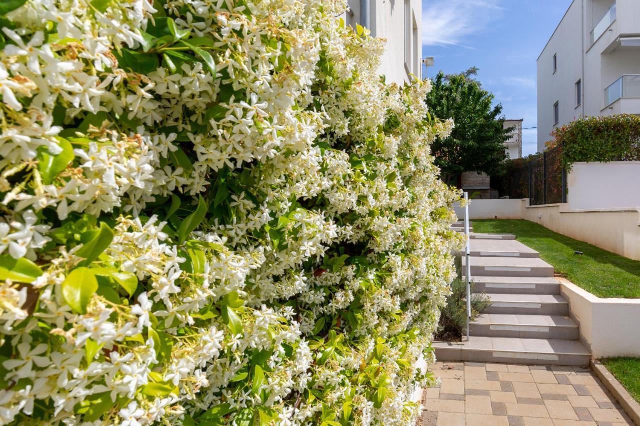 Villa Mirela Petrcane Bagian luar foto